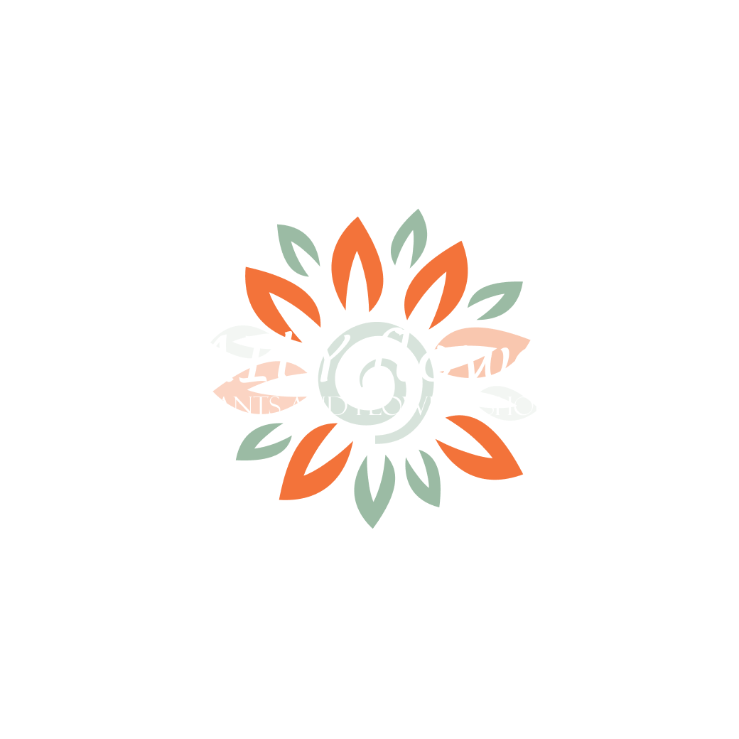 Daily Flowers 